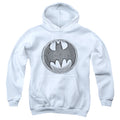 Batman Knight Knockout Youth Hoodie