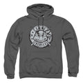 Teenage Mutant Ninja Turtles Rebels Distressed Logo Pullover Hoodie