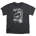 Justice League Atmospheric Youth/Toddler T-Shirt