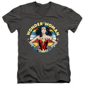 Wonder Woman 1984 Woman of Wonder V-Neck T-Shirt