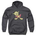 Looney Tunes Vampire Tweety Youth Hoodie