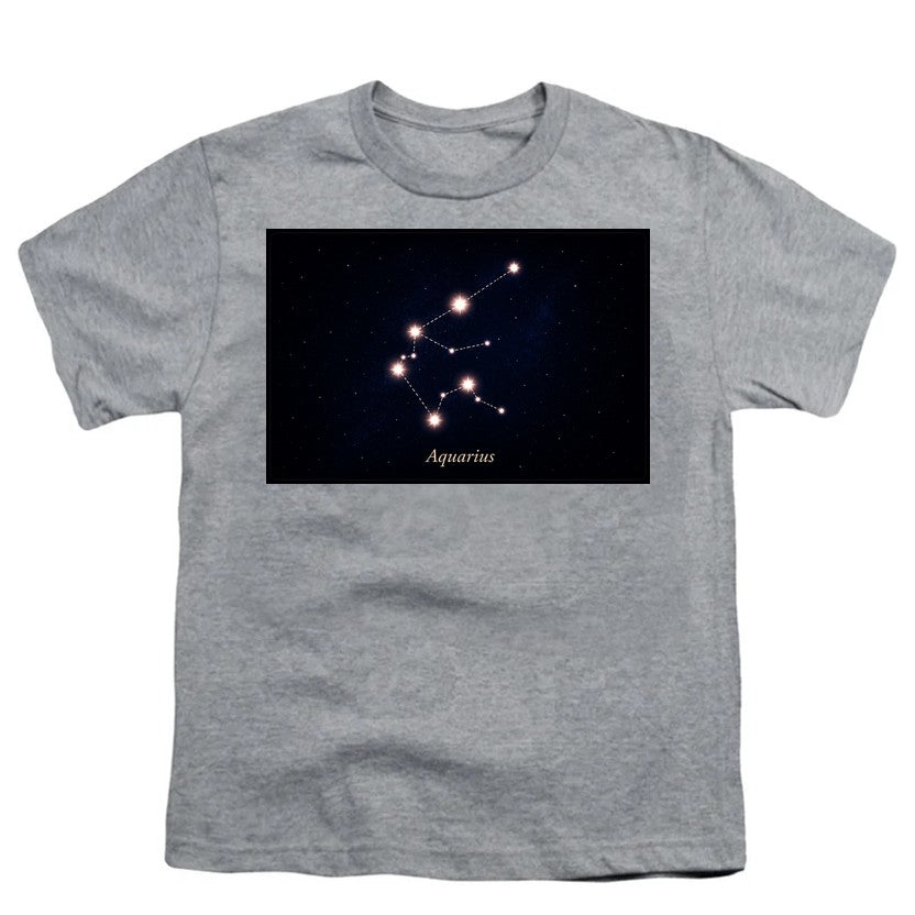 Aquarius Stars Gray