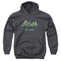 Batman In Color Youth Hoodie