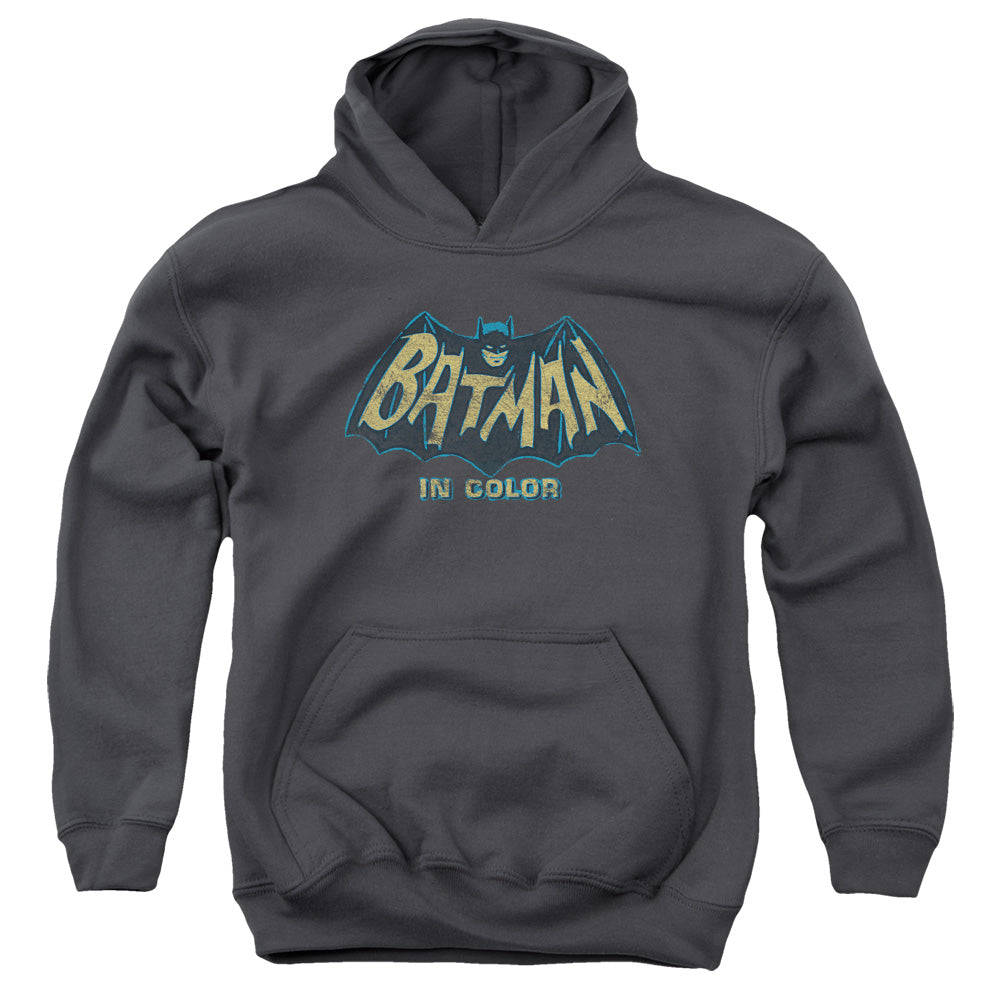 Batman In Color Youth Hoodie