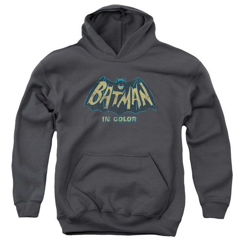 Batman In Color Youth Hoodie