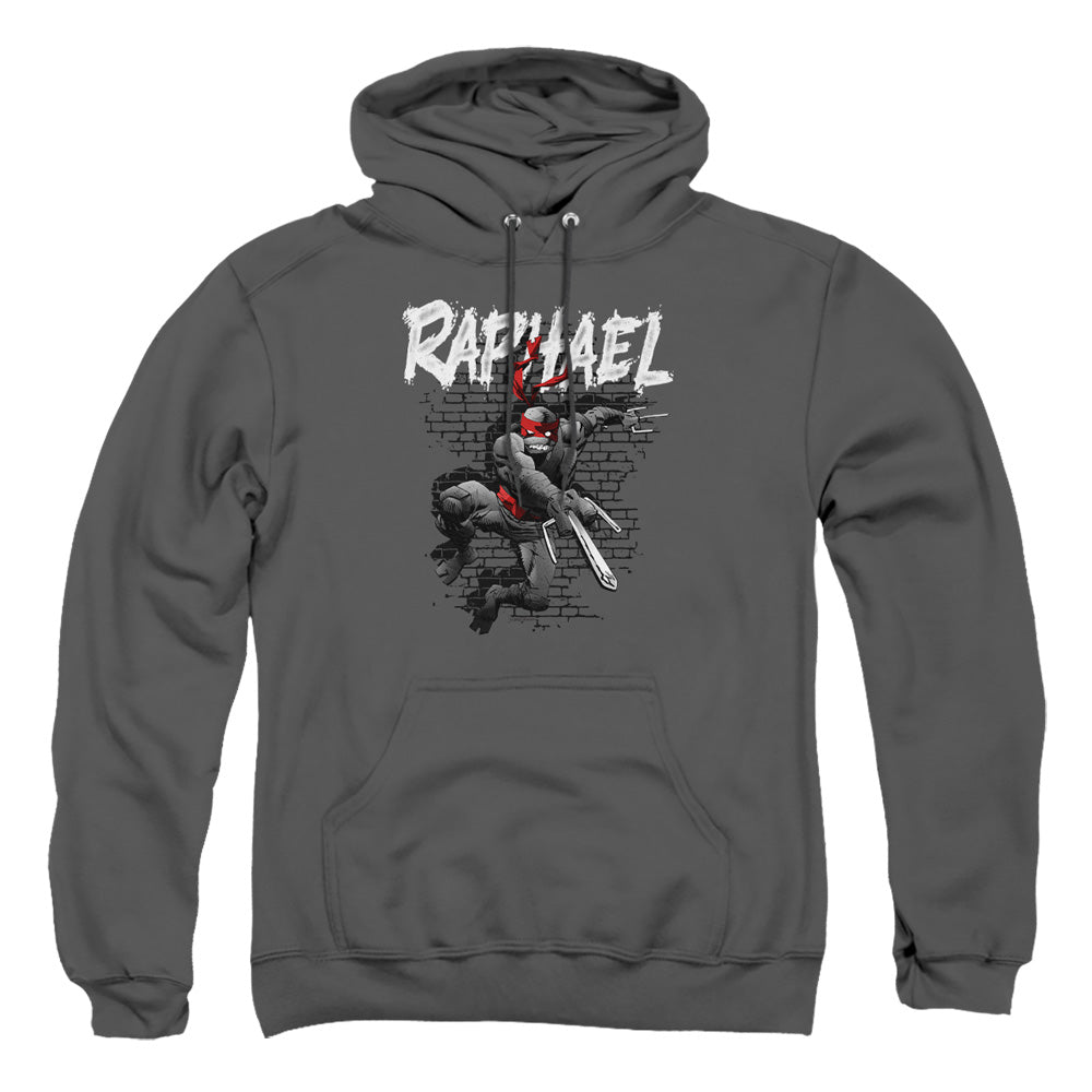 Teenage Mutant Ninja Turtles Raphael Pullover Hoodie