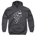 Batman Gotham 3D Youth Hoodie