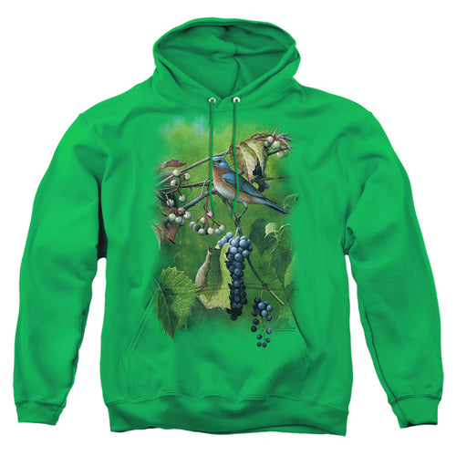 Wild Wings Summertime Eastern Bluebird Pullover Hoodie