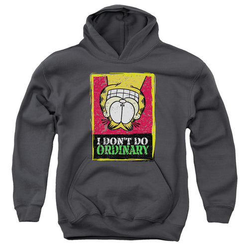 Garfield I Dont Do Ordinary Youth Hoodie