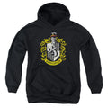 Harry Potter Hufflepuff Crest Youth Hoodie