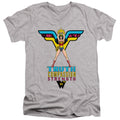 Wonder Woman Truth, Compassion, Strength V-Neck T-Shirt