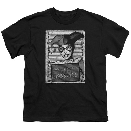 Batman Harley Inmate Youth/Toddler T-Shirt