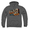 Dungeons & Dragons Baldurs Gate Pullover Hoodie