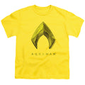Aquaman Aquaman Logo Youth/Toddler T-Shirt