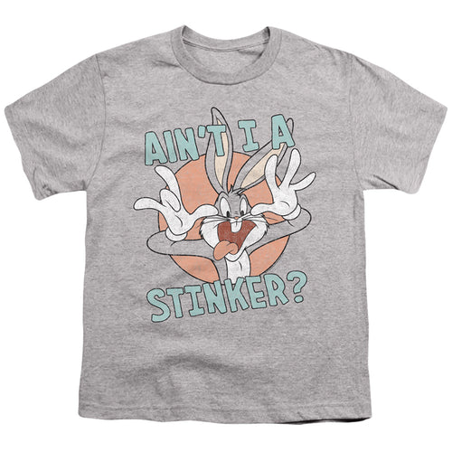 Looney Tunes Aint I A Stinker Youth/Toddler T-Shirt