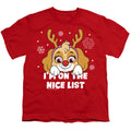 Paw Patrol Skye Nice Christmas List Youth/Toddler T-Shirt