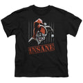 Batman Insane Youth/Toddler T-Shirt