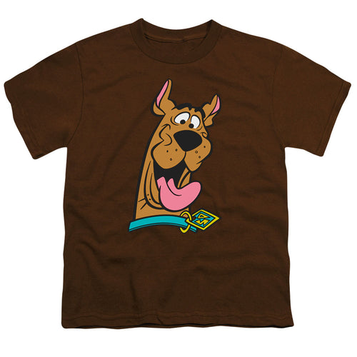 Scooby-Doo Happy Royal Youth/Toddler T-Shirt