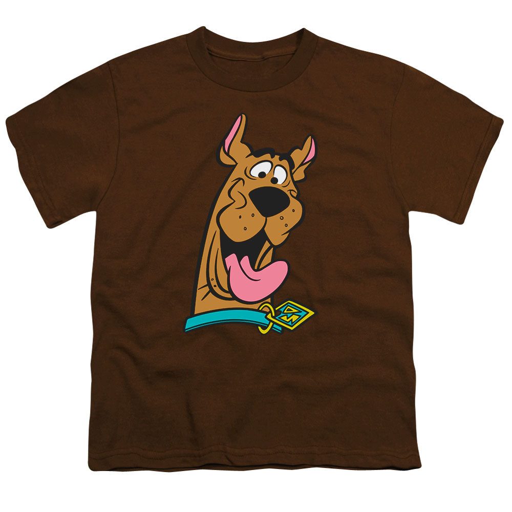 Scooby-Doo Happy Charcoal Youth/Toddler T-Shirt