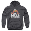 Sesame Street Love Monster Youth Hoodie