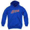 DC Comics The Atom Youth Hoodie