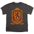 Harry Potter Gryffindor Broomstick Badger Logo Youth/Toddler T-Shirt