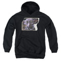 Harry Potter Dobby Worn Photo Youth Hoodie