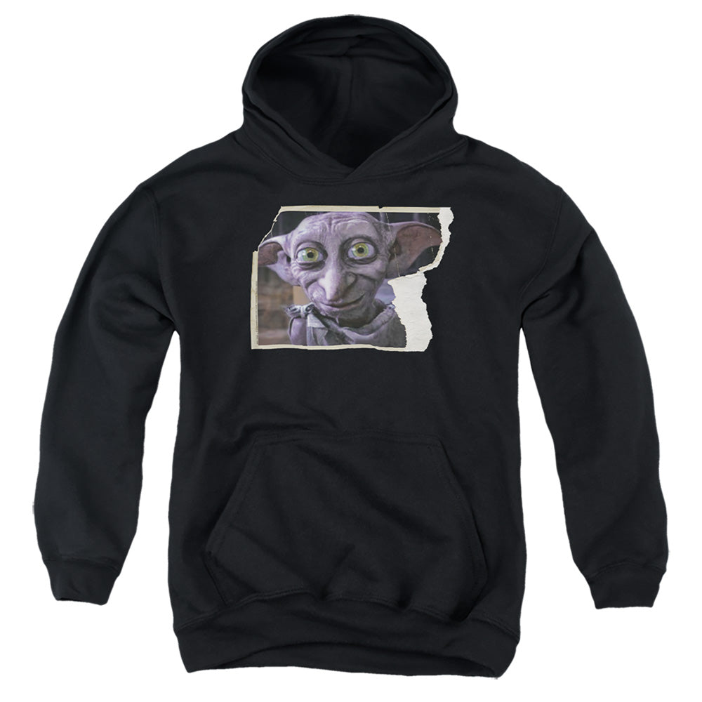 Harry Potter Dobby Worn Photo Youth Hoodie