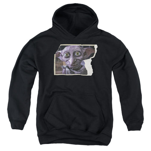 Harry Potter Dobby Worn Photo Youth Hoodie