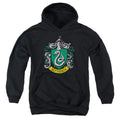 Harry Potter Slytherin Crest Youth Hoodie