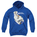 Avatar: The Last Airbender Appa In Flight Youth Hoodie