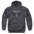 U.S. Air Force USAF Eagle Youth Hoodie