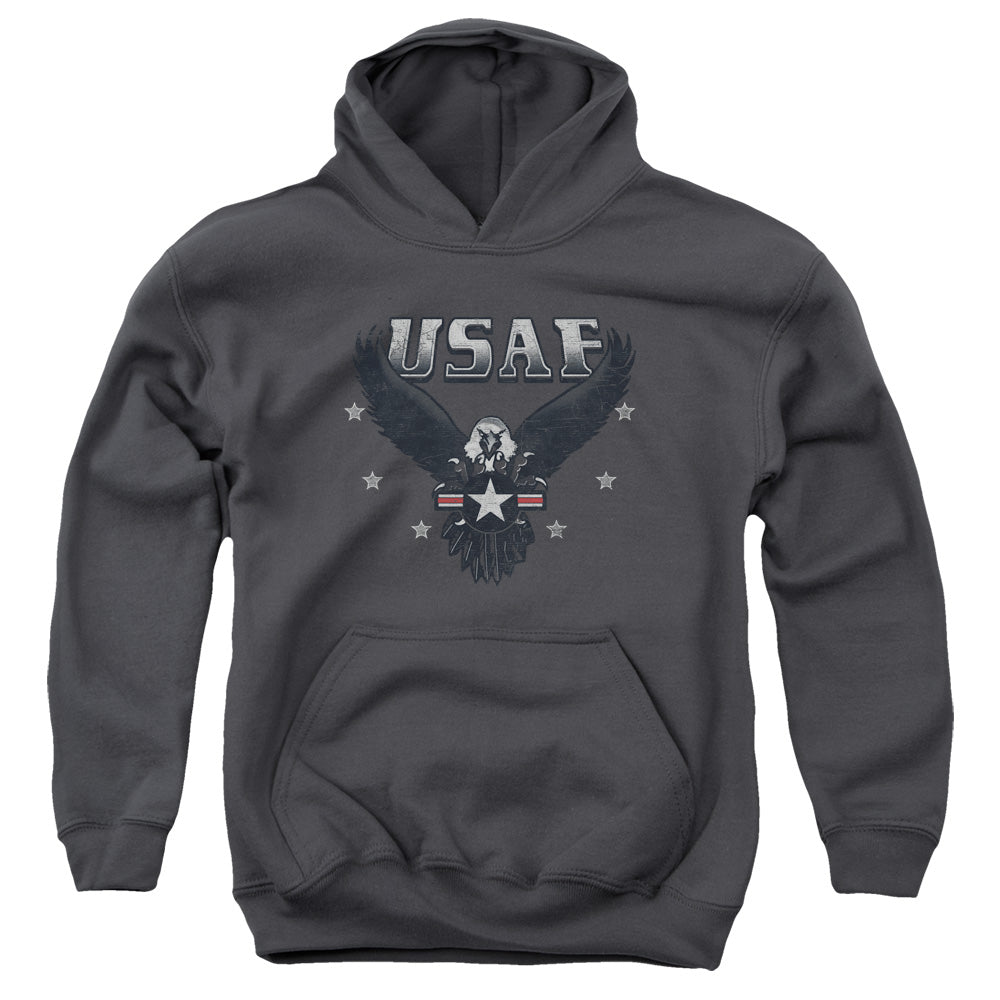U.S. Air Force USAF Eagle Youth Hoodie