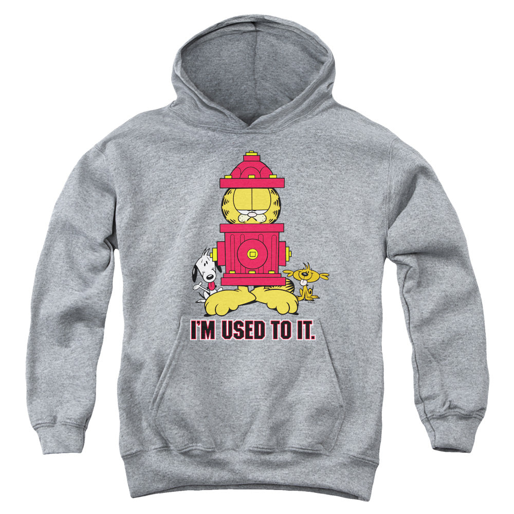 Garfield Im Used To It Youth Hoodie