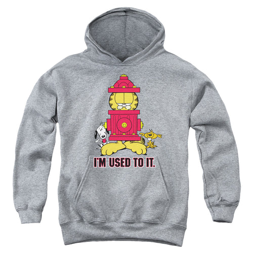 Garfield Im Used To It Youth Hoodie
