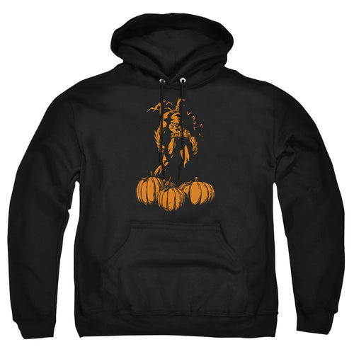 Batman A Bat Among Pumpkins Pullover Hoodie