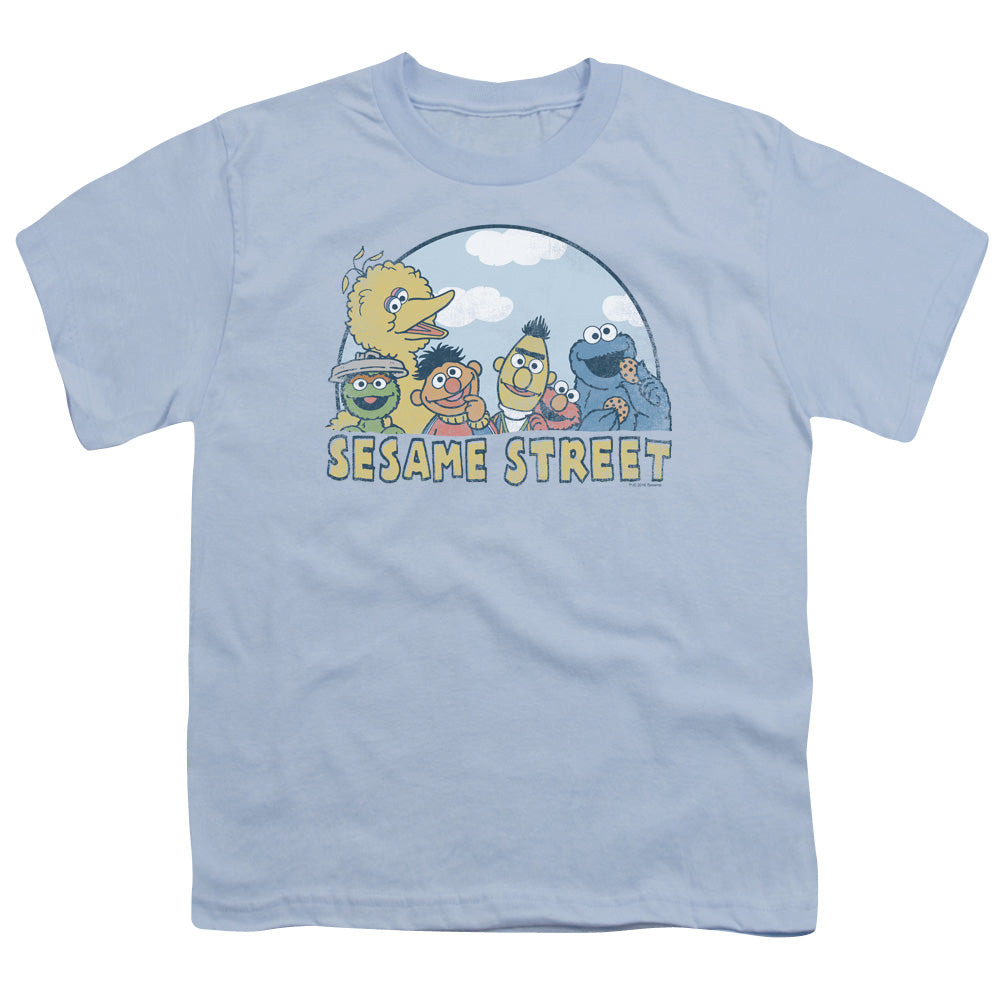 Sesame Street Group Youth/Toddler T-Shirt