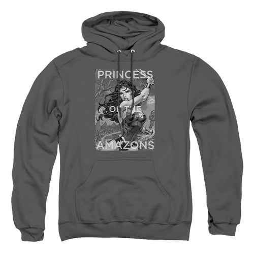 DC Comics Princess Of The Amazons Pullover Hoodie