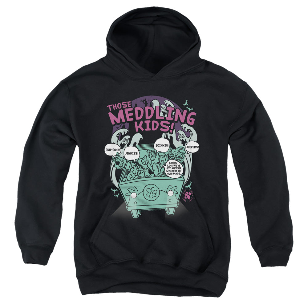 Scooby-Doo Meddling Since 1969 Youth Hoodie