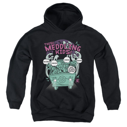 Scooby-Doo Meddling Since 1969 Youth Hoodie