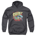DC Comics Bam Youth Hoodie
