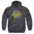 DC Comics Power Bolt Youth Hoodie