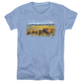 Wild Wings The Passing Herd Bison Womens T-Shirt