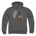 Wild Wings Painted Horses Pullover Hoodie