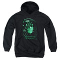 Star Trek Resistance Is Futile Youth Hoodie