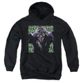 Batman Insanity Youth Hoodie
