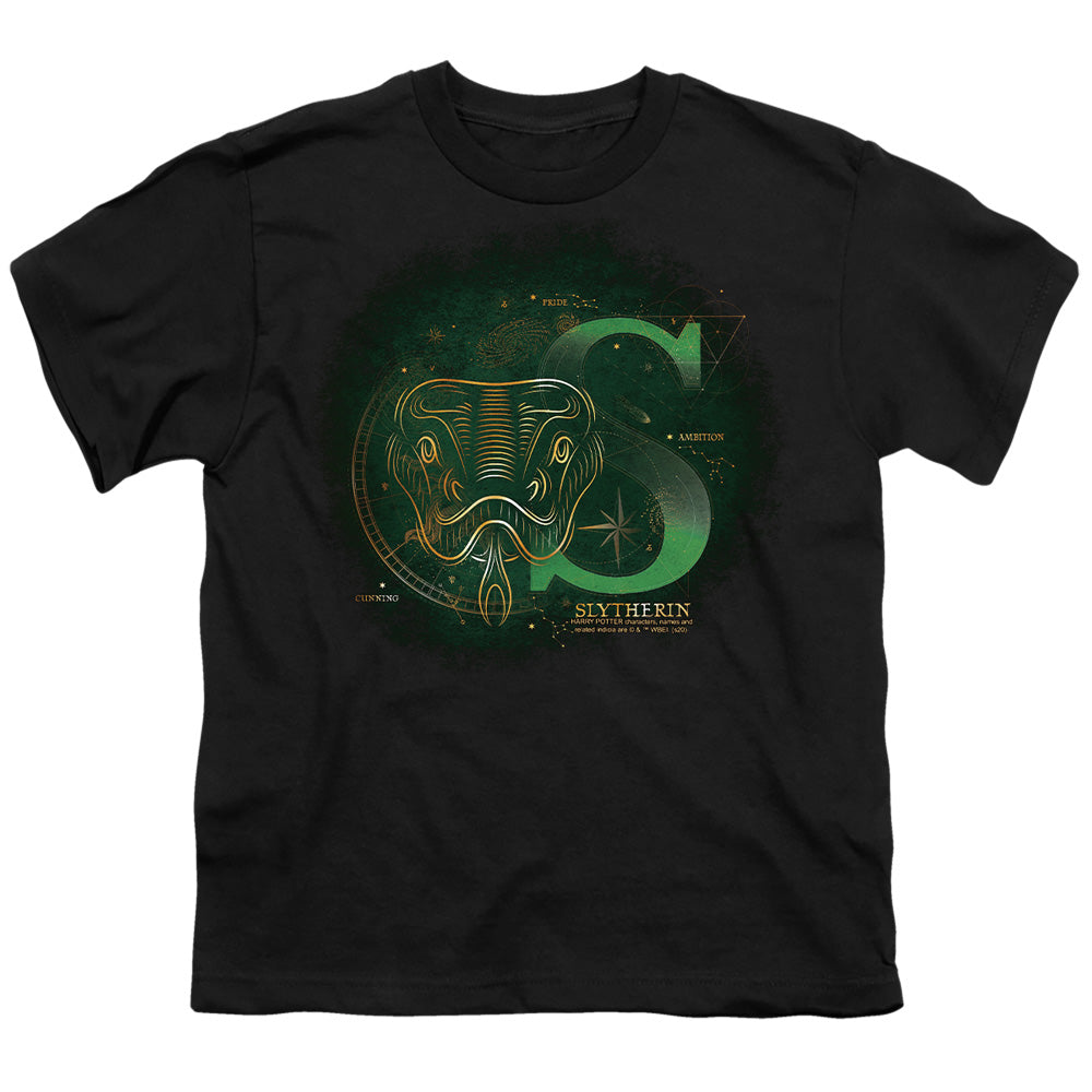 Harry Potter Celestial Nomad Slytherin Youth/Toddler T-Shirt