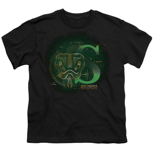 Harry Potter Celestial Nomad Slytherin Youth/Toddler T-Shirt