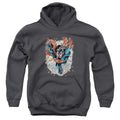 Superman Within My Grasp Youth Hoodie