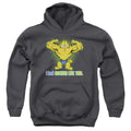 Garfield Nothing Like This Youth Hoodie